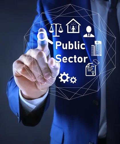 Government & Public Sector