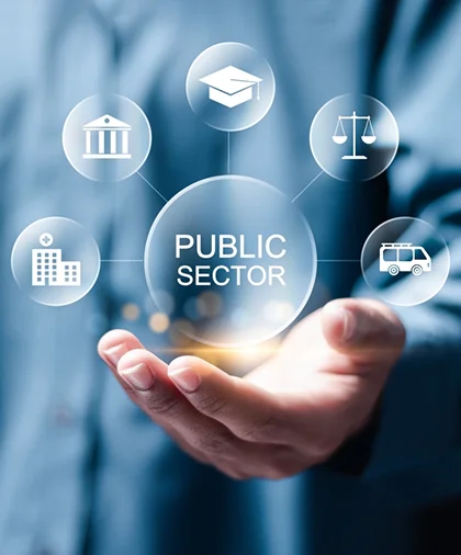 Government & Public Sector